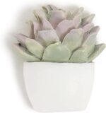U Brands Succulent Push Pins Set, Office Supplies, Three Assorted Styles, 9 Count - Image 3