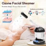 Hair Steamer Kingsteam 2 in 1 Ozone Facial Steamer - Image 2