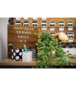 Schoolgirl Style - Polka Dot Pencil Cups, 3 Assorted Sizes - Image 3